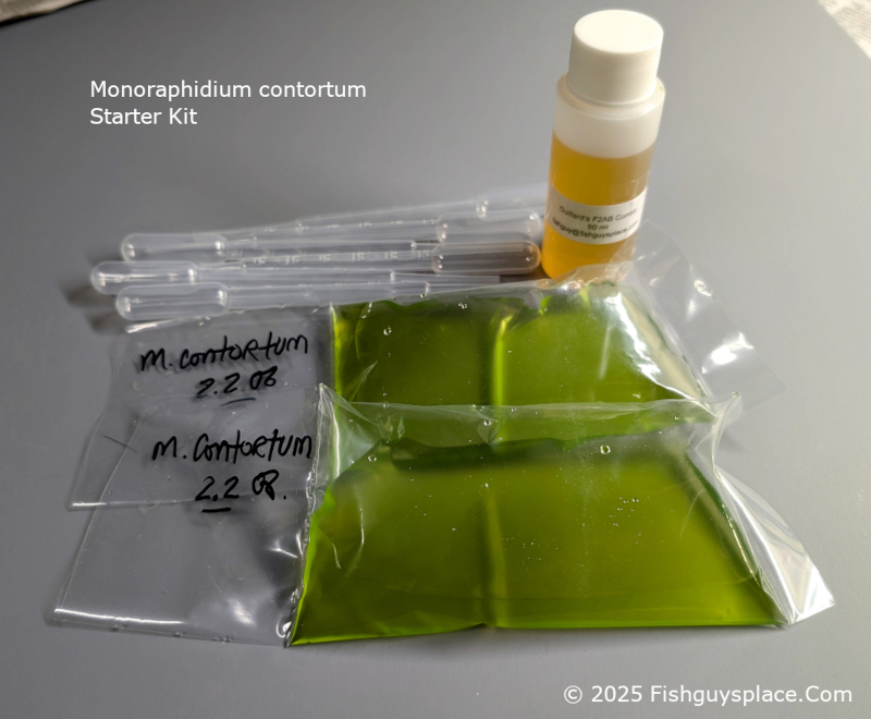 contortum starter kit