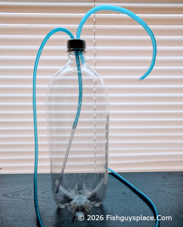 Prepared culture bottle