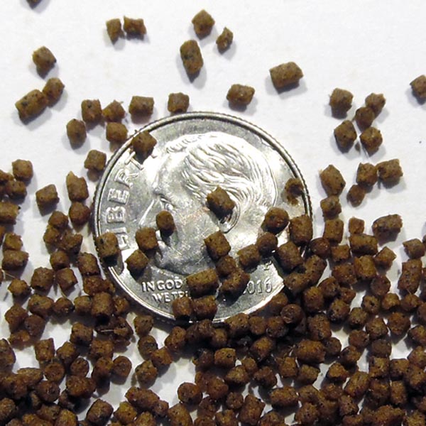 Phase three micro pellets on dime